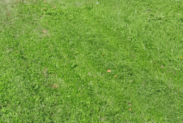 2025 05 29 16 37 20 png