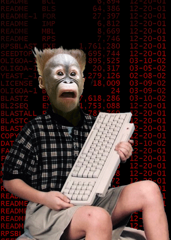 A69h gif