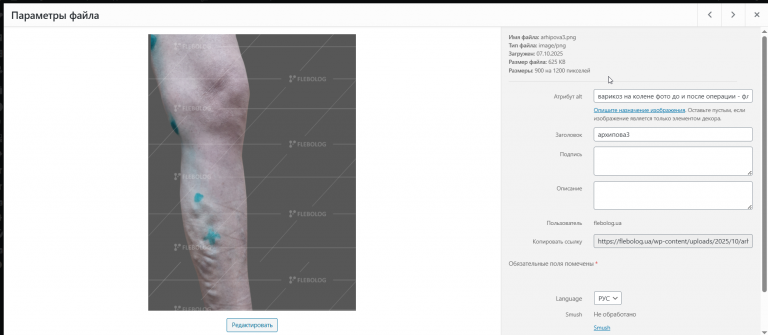 2025 11 14 16 07 08 png