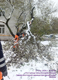 2026 04 29 16 59 13 png