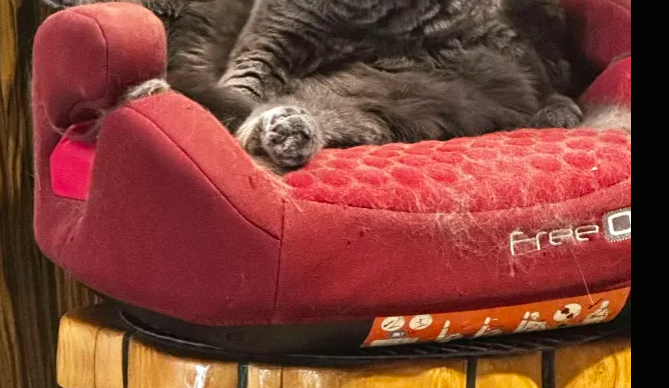 2026 02 18 00 33 59 png