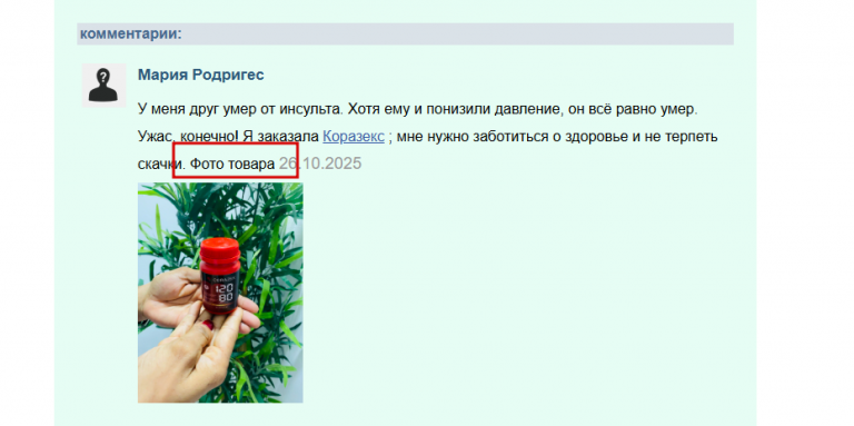 2025 11 05 15 02 06 png