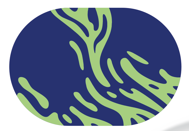 2026 02 13 12 17 25 png