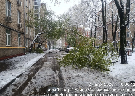 2026 04 29 17 09 51 png