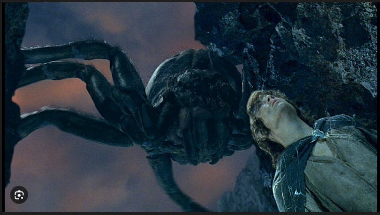 2026 02 12 19 13 25 png