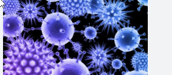 2025 11 12 22 03 07 png