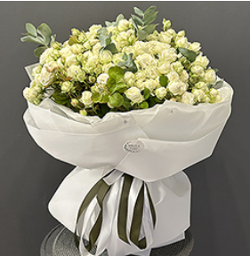 2026 04 08 12 15 16 png