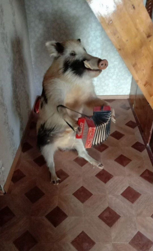 изображение 2026 03 04 210213675 png