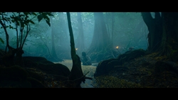 thumb 855719c66cb50f92018e2249f4dd4476 jpg