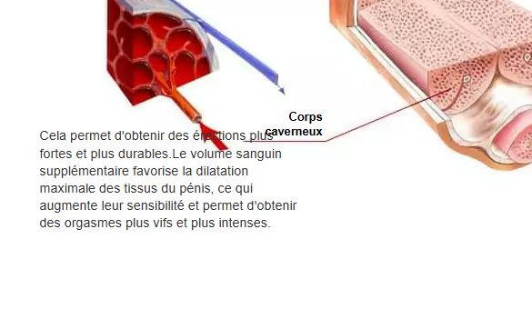 2026 04 14 11 56 31 png