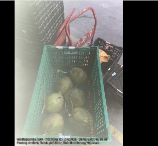 2026 02 28 19 48 55 png