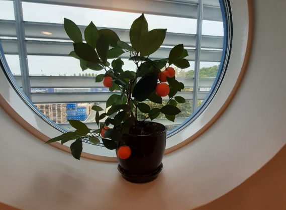 2026 03 09 10 19 06 png