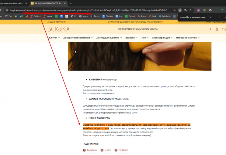 2025 12 17 17 13 19 png