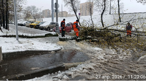 2026 04 29 17 16 57 png