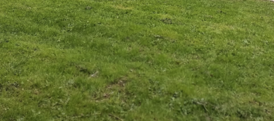 2025 05 29 16 17 48 png