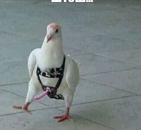 2025 08 29 18 04 21 png