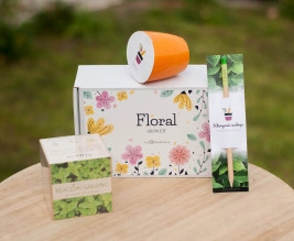 2026 02 24 11 15 30 png