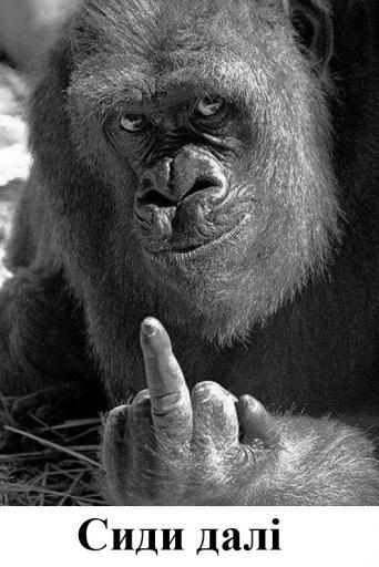 2fdc3e8077a2024240236b53fd21e36c jpg