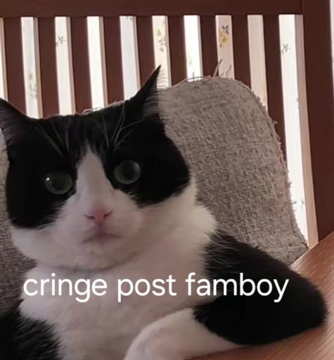Screenshot 20260524 022102 TikTok jpg