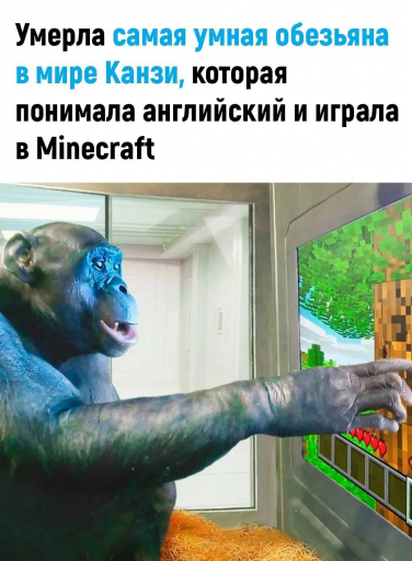 изображение 2025 06 27 122127245 png