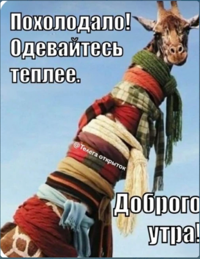 2025 12 23 08 09 31 png