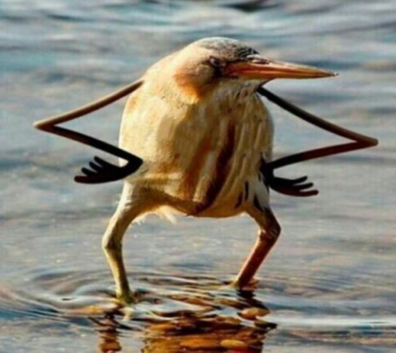 2026 04 24 17 32 13 png