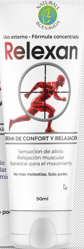 2026 02 13 11 54 22 png