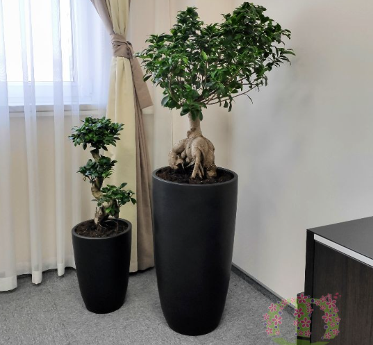 2025 12 05 16 51 35 png