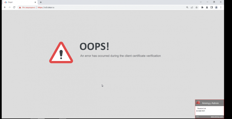 2026 01 16 11 36 52 png