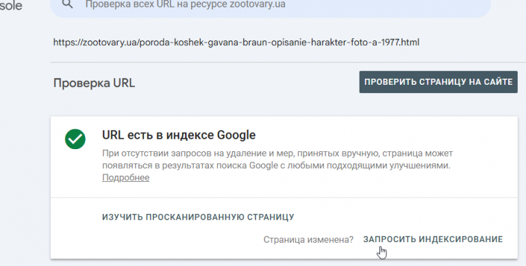 2025 11 13 17 20 21 png