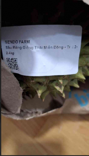 2025 11 06 21 25 10 png