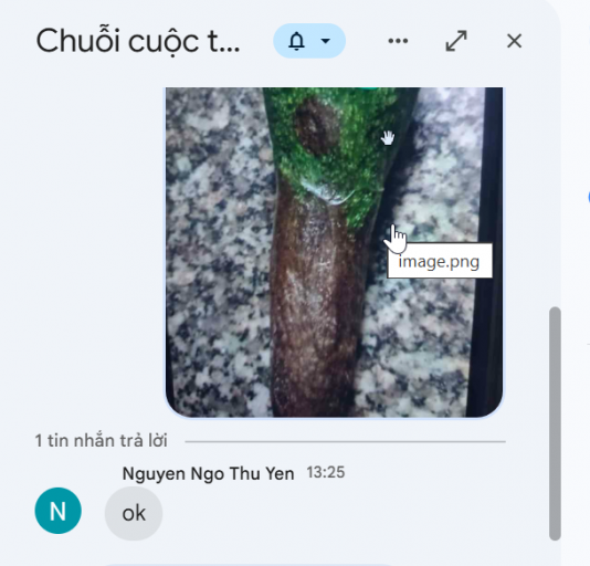 2026 06 29 15 31 51 png