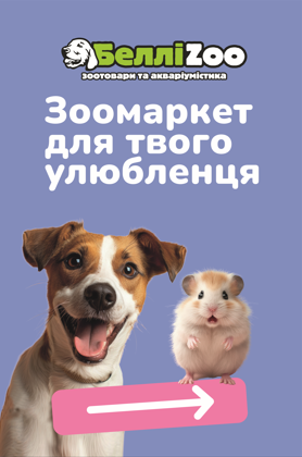 2026 04 10 12 06 28 png