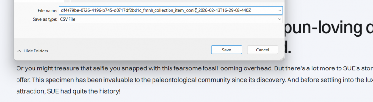 2026 02 13 18 29 15 png