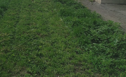 2025 05 29 15 27 12 png