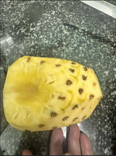 2025 10 16 18 39 28 png