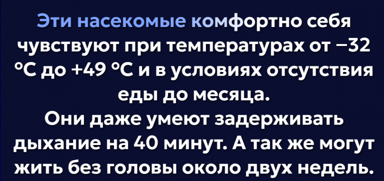 2026 05 11 01 33 25 png