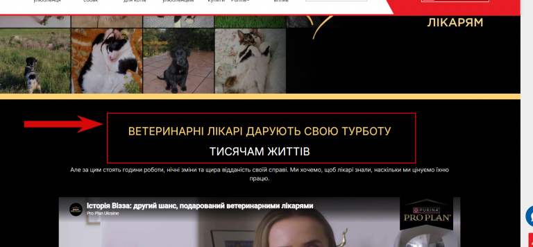 2026 08 13 14 34 12 png