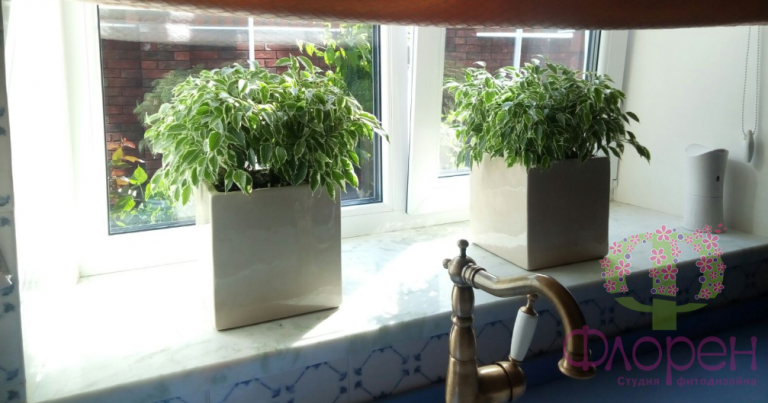 2026 03 10 12 29 40 png