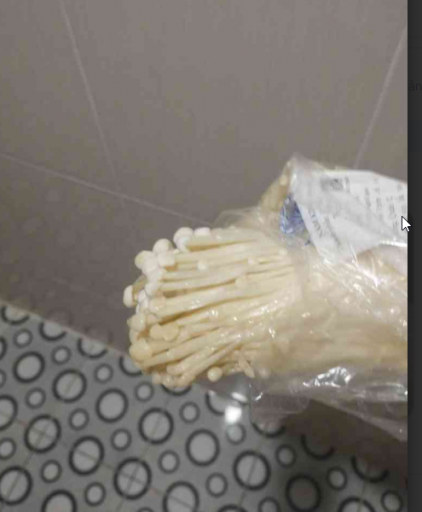 2025 06 24 13 00 37 png