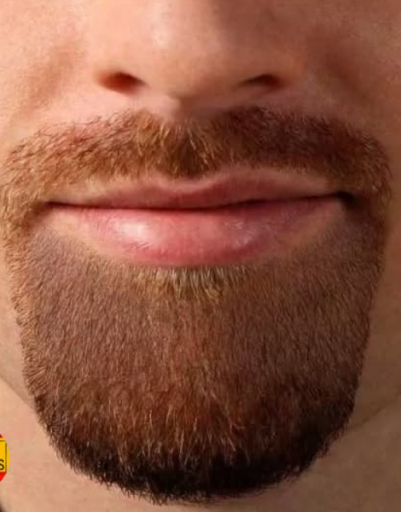 2026 03 29 10 32 37 png