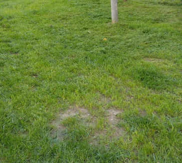 2025 05 29 16 55 31 png