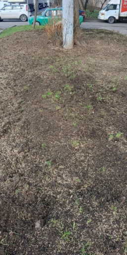 2026 04 18 18 36 28 png