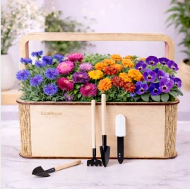 2026 02 23 11 32 53 png