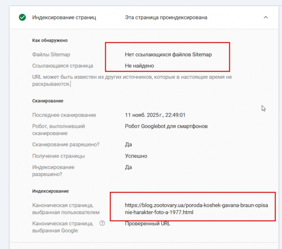 2025 11 13 17 21 44 png