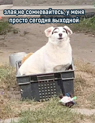 изображение 2025 06 20 013737430 png