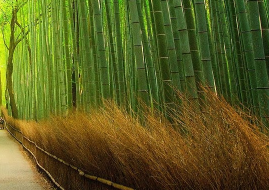 2025 10 31 11 32 44 png