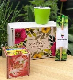 2026 02 21 13 19 41 png