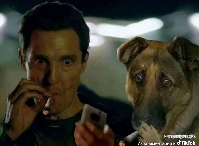 Screenshot 20260306 182901 TikTok jpg