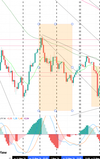 2026 03 06 07 52 28 png